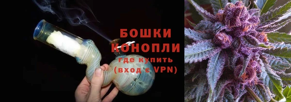 дмт Осташков