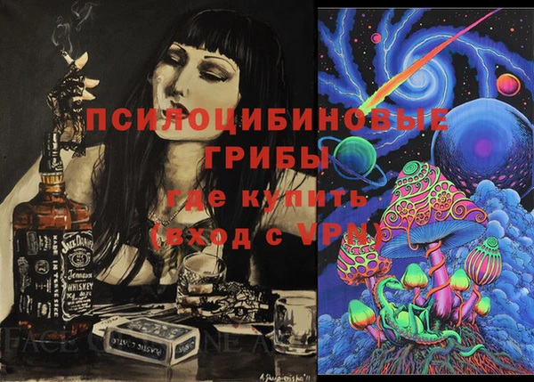 шишки Осинники
