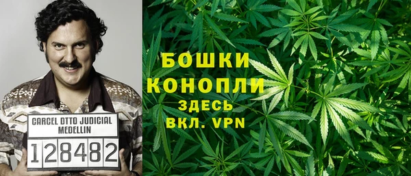 дмт Осташков