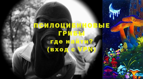 дмт Осташков