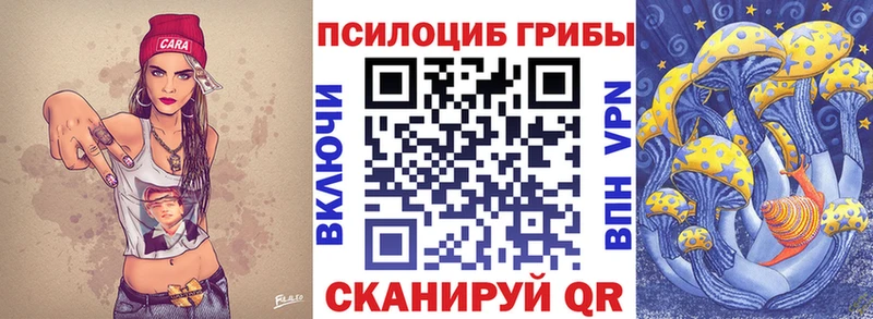 мега маркетплейс Сафоново Псилоцибиновые грибы GOLDEN TEACHER